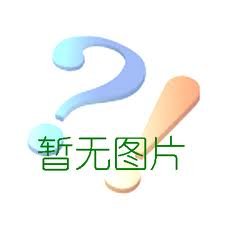 人物作品《圣地子民》